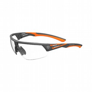 ARGOS Skyddsglasgon, transparent, Guardio